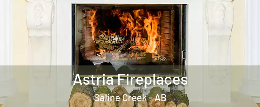  Astria Fireplaces Saline Creek - AB