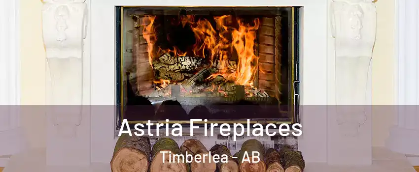  Astria Fireplaces Timberlea - AB