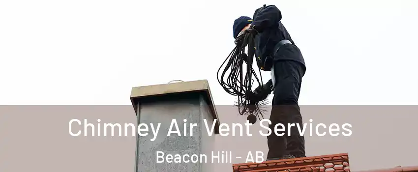  Chimney Air Vent Services Beacon Hill - AB