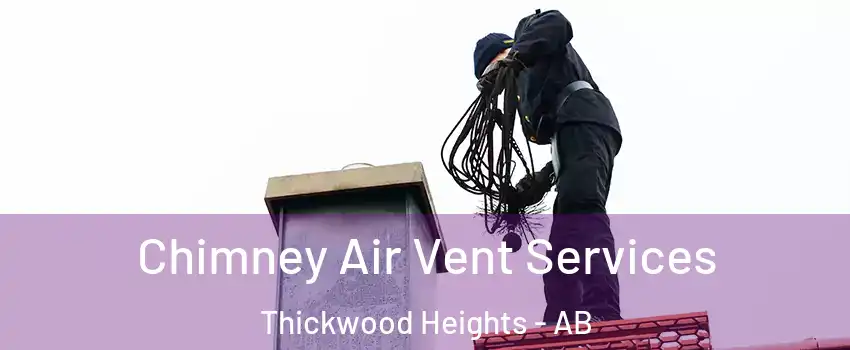  Chimney Air Vent Services Thickwood Heights - AB