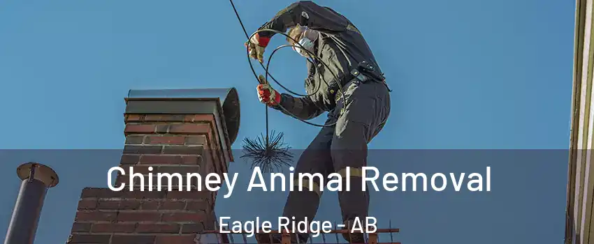  Chimney Animal Removal Eagle Ridge - AB