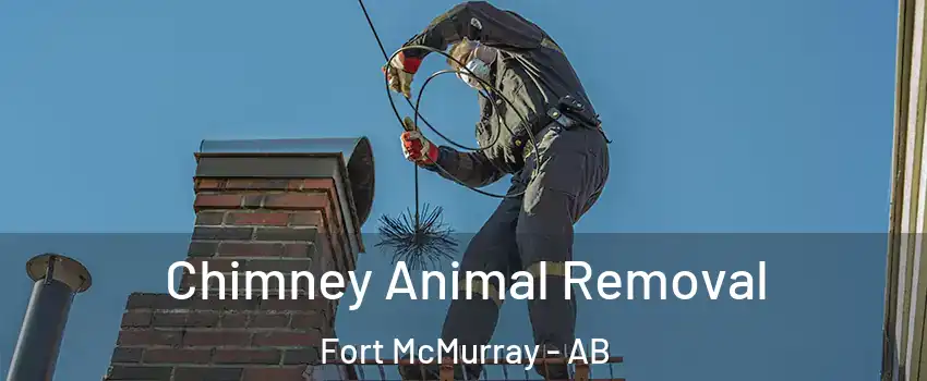  Chimney Animal Removal Fort McMurray - AB