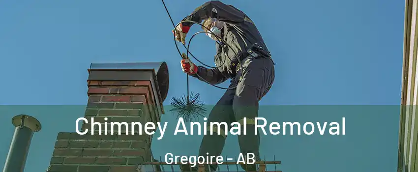 Chimney Animal Removal Gregoire - AB
