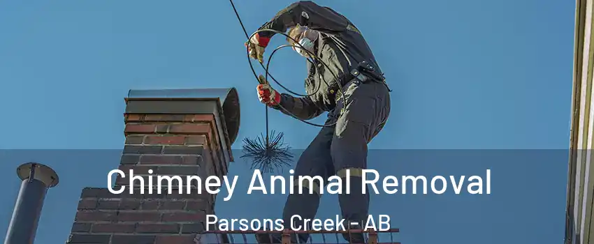  Chimney Animal Removal Parsons Creek - AB