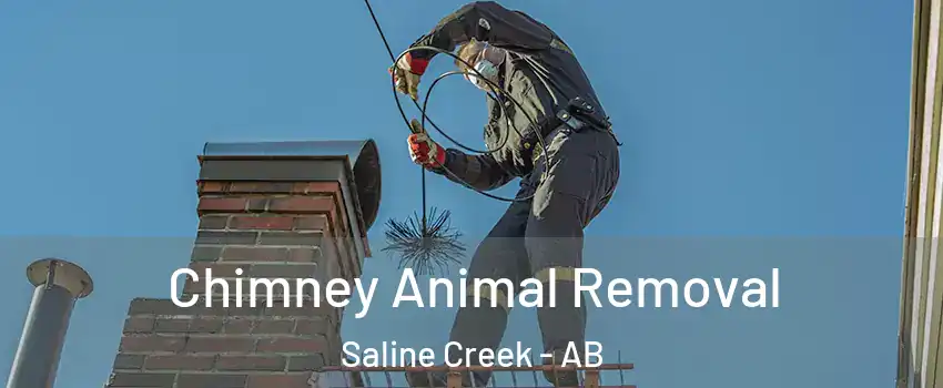  Chimney Animal Removal Saline Creek - AB