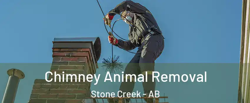  Chimney Animal Removal Stone Creek - AB