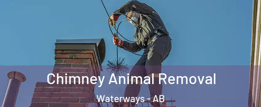  Chimney Animal Removal Waterways - AB