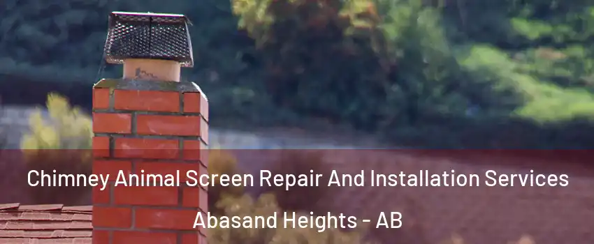  Chimney Animal Screen Repair And Installation Services Abasand Heights - AB