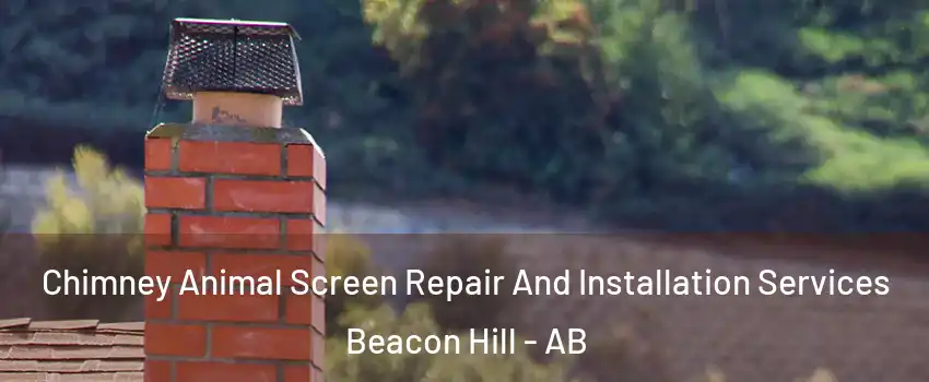  Chimney Animal Screen Repair And Installation Services Beacon Hill - AB