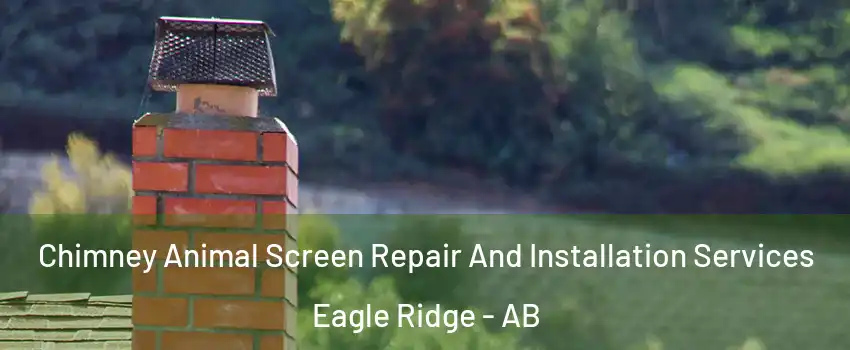  Chimney Animal Screen Repair And Installation Services Eagle Ridge - AB