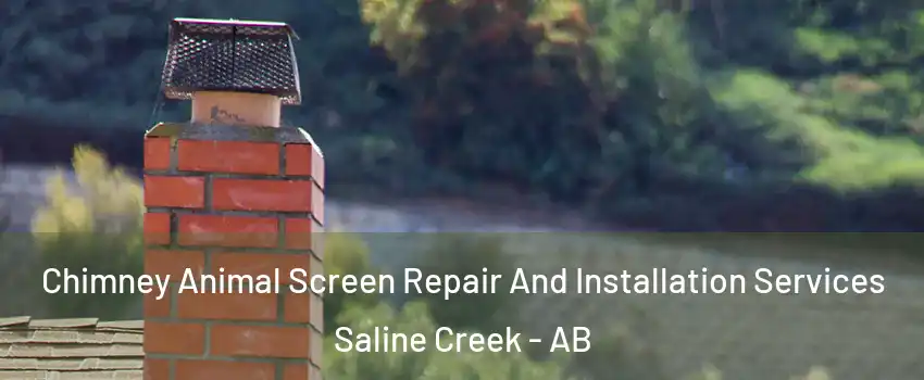  Chimney Animal Screen Repair And Installation Services Saline Creek - AB