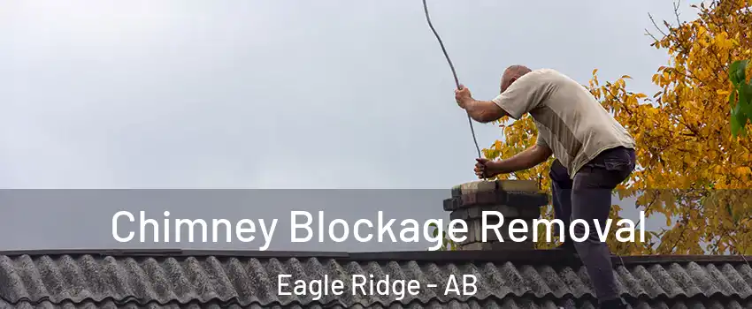  Chimney Blockage Removal Eagle Ridge - AB