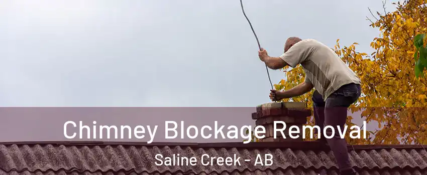  Chimney Blockage Removal Saline Creek - AB