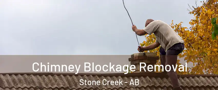  Chimney Blockage Removal Stone Creek - AB