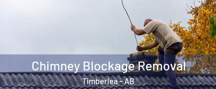  Chimney Blockage Removal Timberlea - AB
