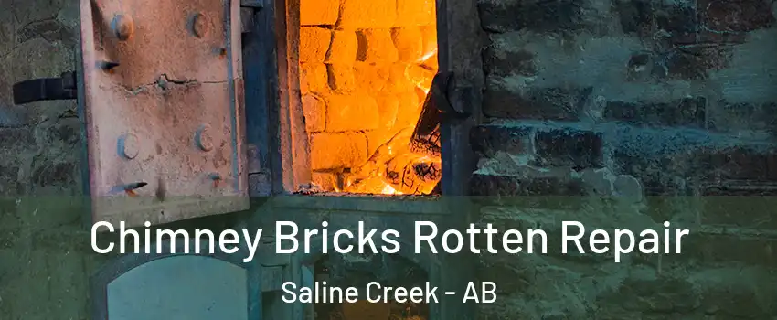  Chimney Bricks Rotten Repair Saline Creek - AB