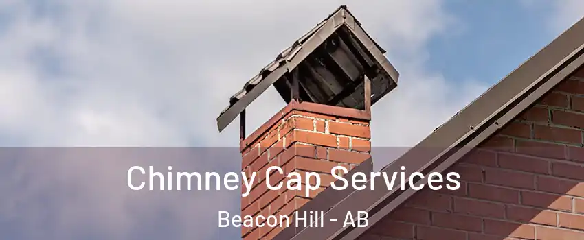  Chimney Cap Services Beacon Hill - AB