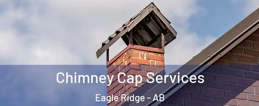 Chimney Cap Services Eagle Ridge - AB