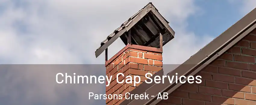  Chimney Cap Services Parsons Creek - AB