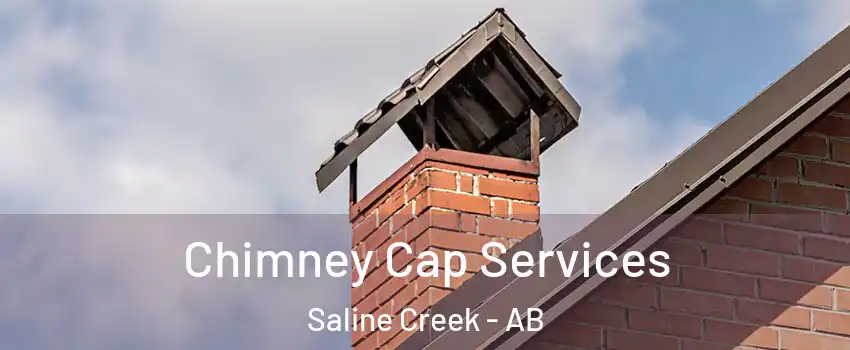  Chimney Cap Services Saline Creek - AB
