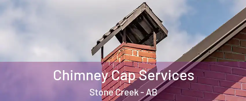  Chimney Cap Services Stone Creek - AB