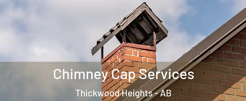  Chimney Cap Services Thickwood Heights - AB