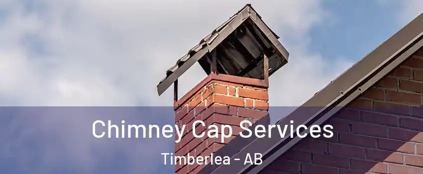  Chimney Cap Services Timberlea - AB