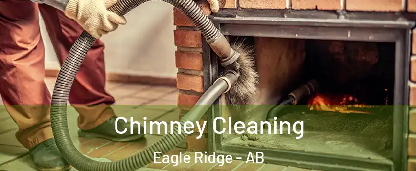  Chimney Cleaning Eagle Ridge - AB