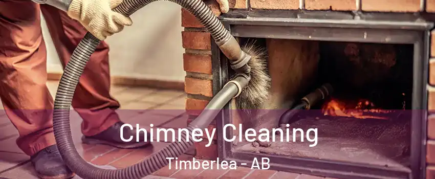  Chimney Cleaning Timberlea - AB