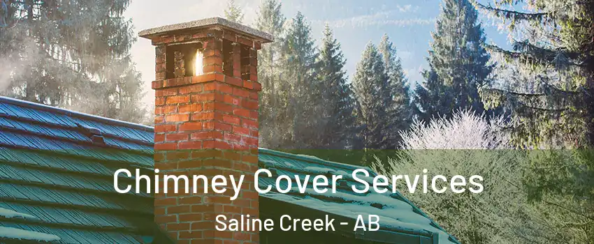  Chimney Cover Services Saline Creek - AB
