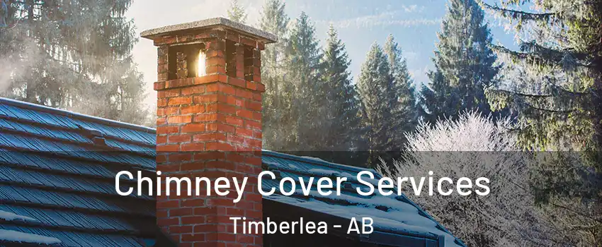  Chimney Cover Services Timberlea - AB
