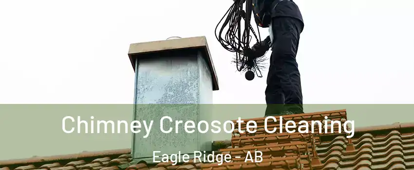  Chimney Creosote Cleaning Eagle Ridge - AB