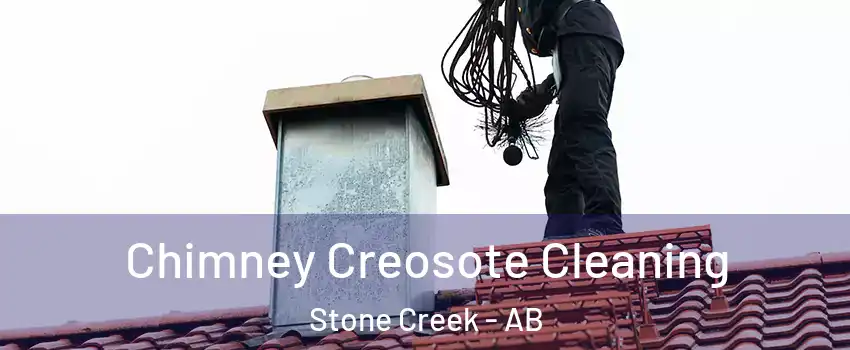  Chimney Creosote Cleaning Stone Creek - AB