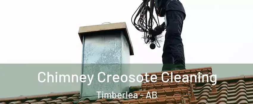 Chimney Creosote Cleaning Timberlea - AB