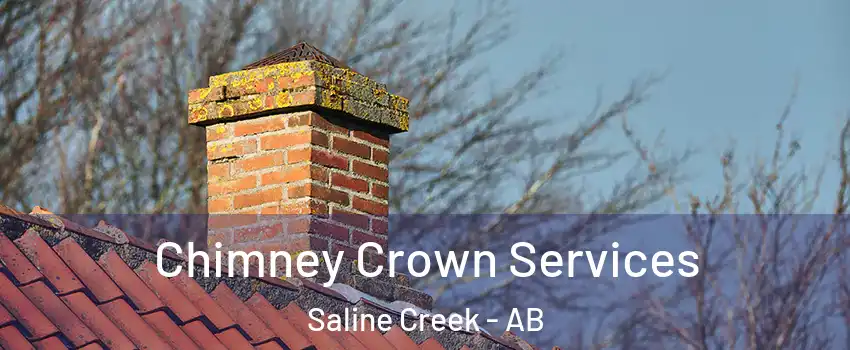  Chimney Crown Services Saline Creek - AB