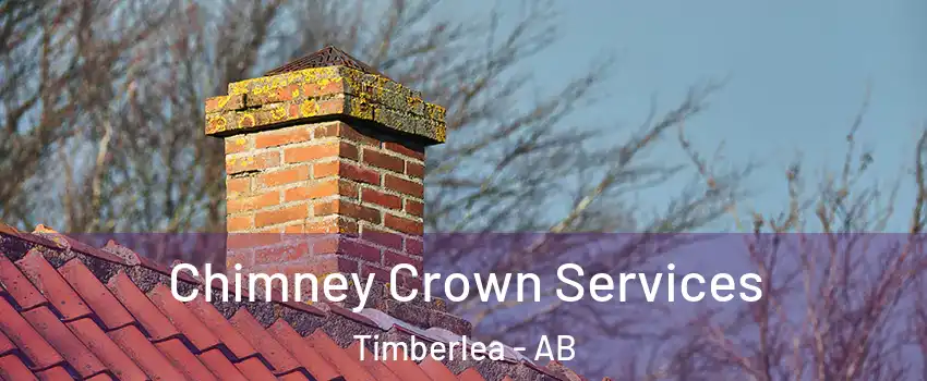  Chimney Crown Services Timberlea - AB