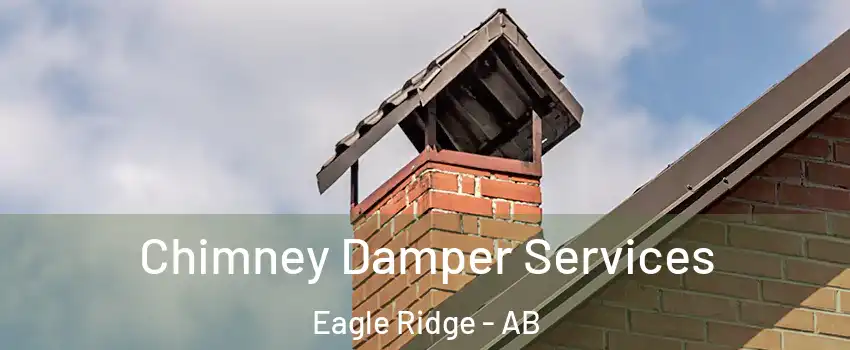  Chimney Damper Services Eagle Ridge - AB