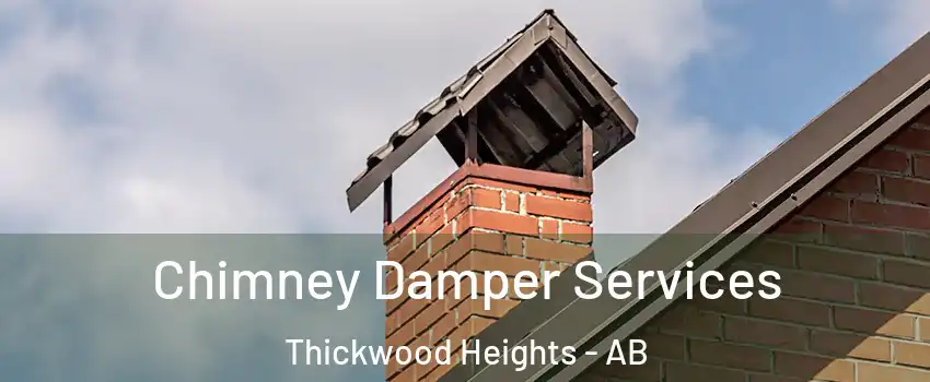  Chimney Damper Services Thickwood Heights - AB