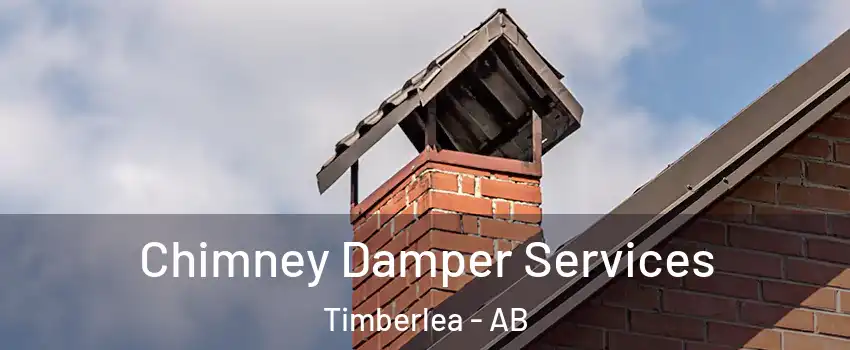  Chimney Damper Services Timberlea - AB