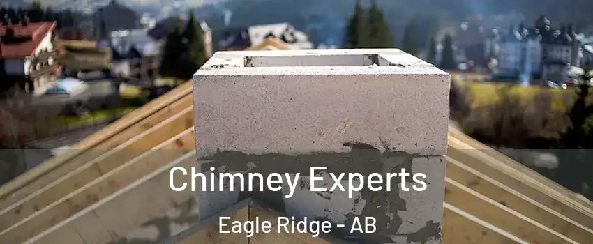  Chimney Experts Eagle Ridge - AB