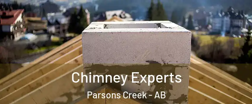  Chimney Experts Parsons Creek - AB