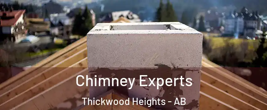  Chimney Experts Thickwood Heights - AB