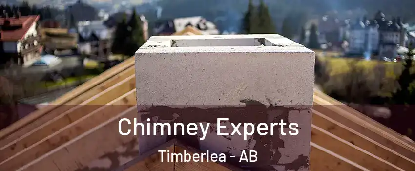  Chimney Experts Timberlea - AB