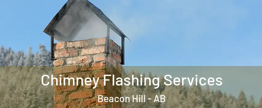  Chimney Flashing Services Beacon Hill - AB