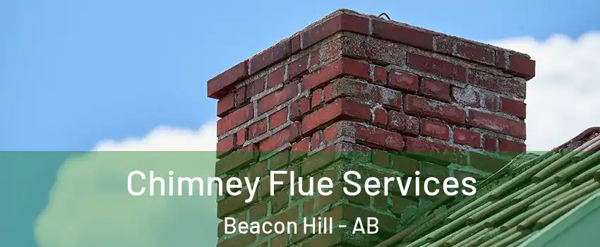  Chimney Flue Services Beacon Hill - AB