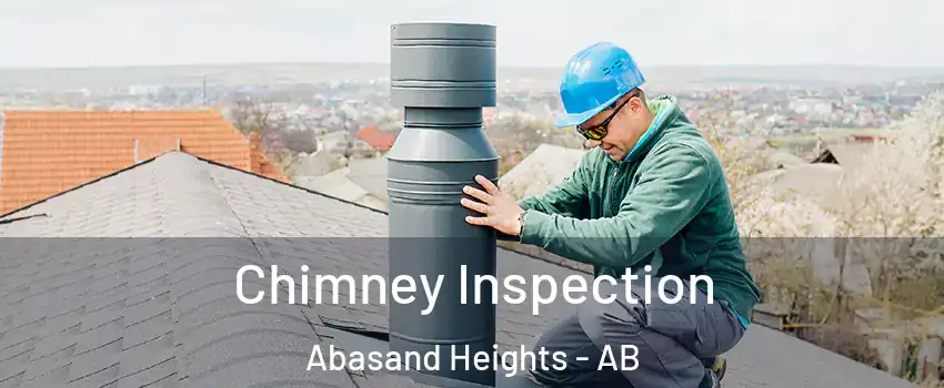  Chimney Inspection Abasand Heights - AB