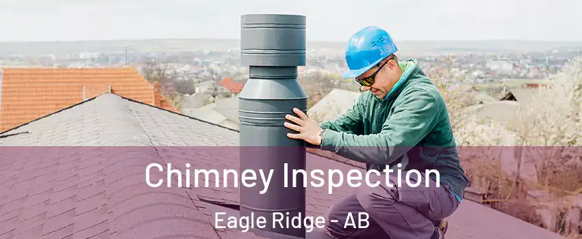  Chimney Inspection Eagle Ridge - AB