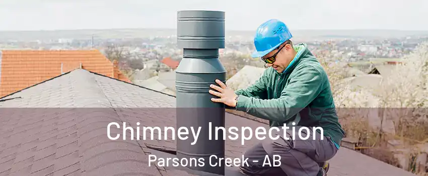  Chimney Inspection Parsons Creek - AB