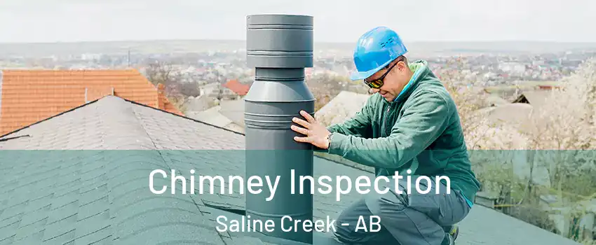  Chimney Inspection Saline Creek - AB