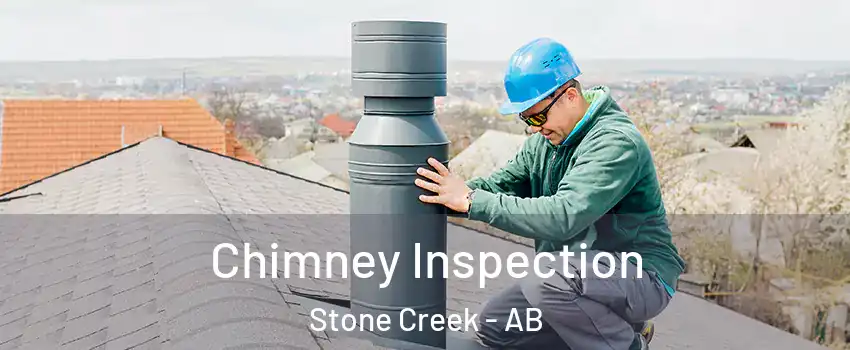  Chimney Inspection Stone Creek - AB